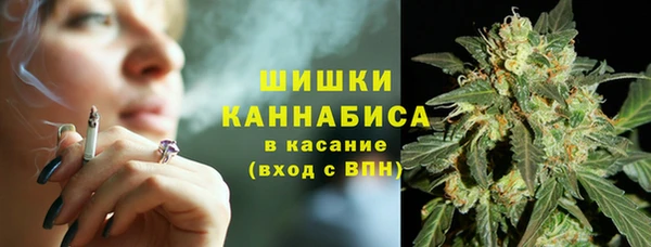 бутират Инсар