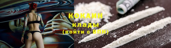 apvp Инта