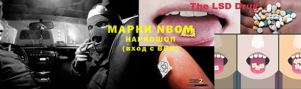apvp Инта
