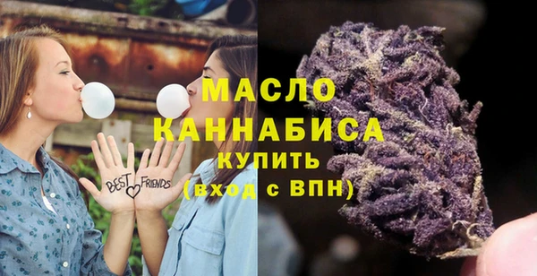 apvp Инта