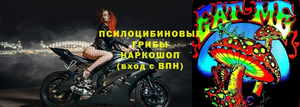 бутират Инсар