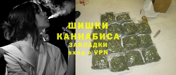 apvp Инта