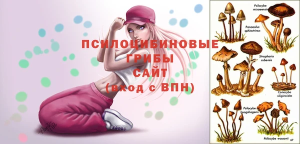 бутират Инсар